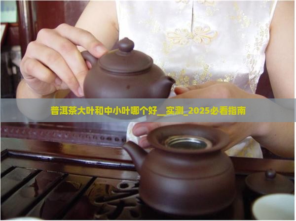 普洱茶大叶和中小叶哪个好