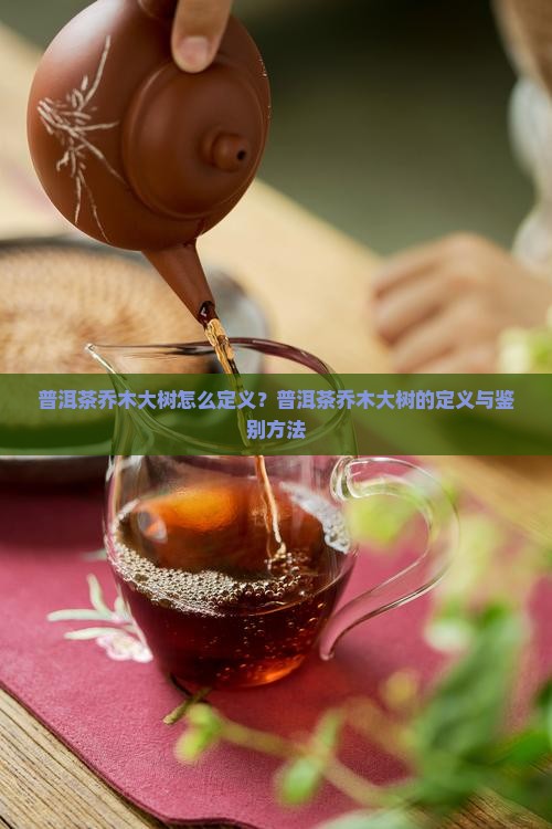 普洱茶乔木大树怎么定义