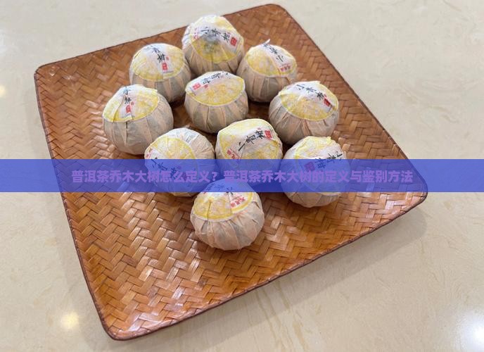 普洱茶乔木大树怎么定义