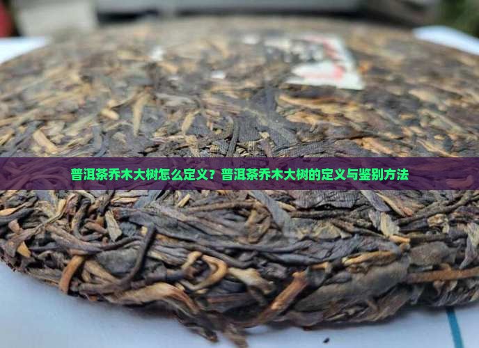 普洱茶乔木大树怎么定义