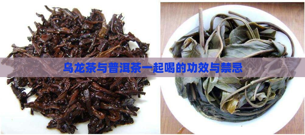 乌龙茶兑普洱茶的功效与禁忌
