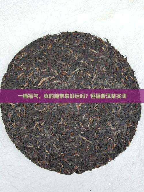 恒福普洱茶一桶福气