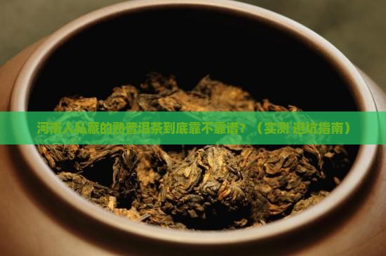 河南靠谱的熟普洱茶