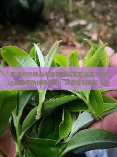 普洱熟茶砖嘉木普洱茶嘉茗 普洱熟茶砖嘉木普洱茶嘉茗