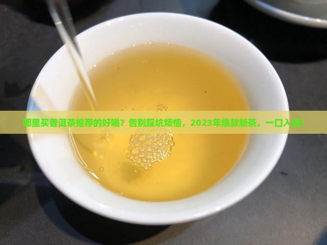 哪里买普洱茶推荐的好喝