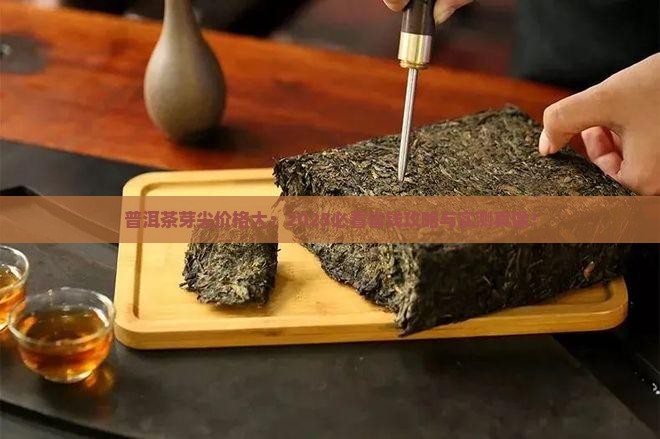 普洱茶芽尖多少钱一斤