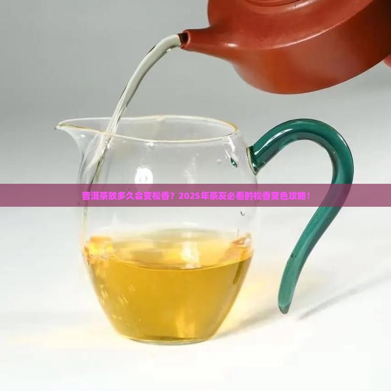 普洱茶放多久变松香了