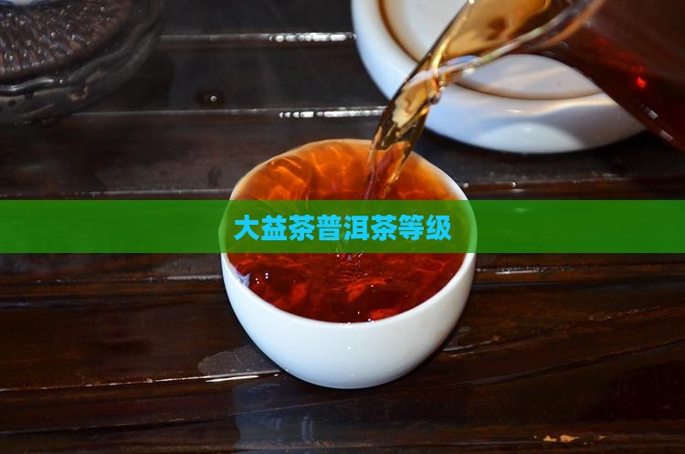 大益茶普洱茶等级