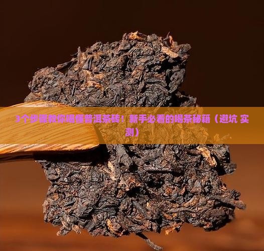 普洱茶压缩的茶砖怎么喝