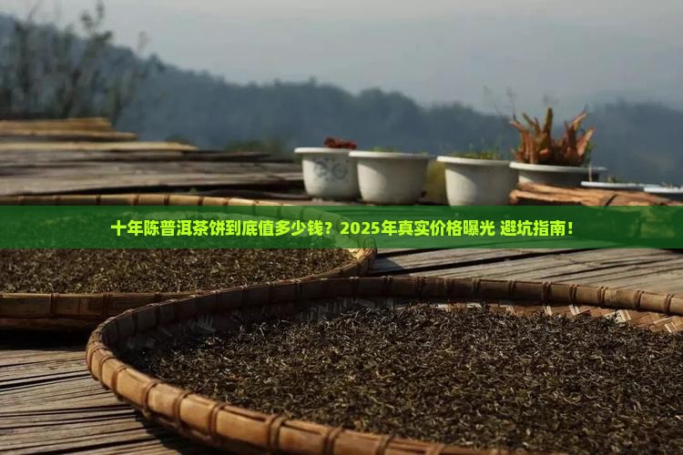 十年陈普洱茶饼的价格