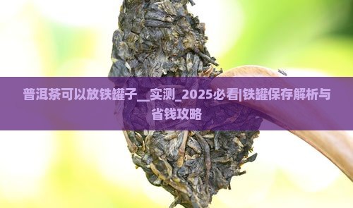 普洱茶可以放铁罐子