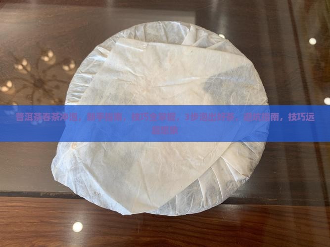 普洱茶春茶冲泡