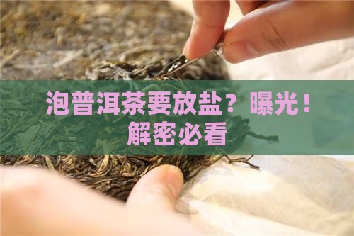 泡普洱茶需要放盐吗