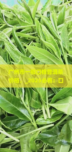 广州市一般口粮普洱茶价格