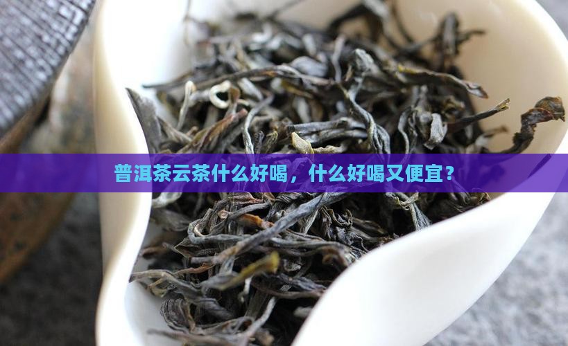普洱茶云茶什么品牌好喝