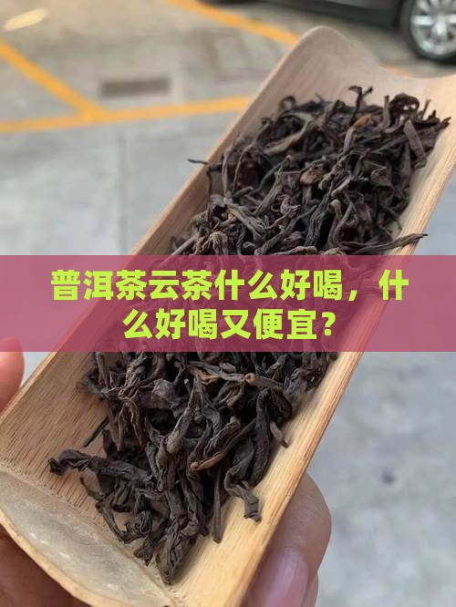 普洱茶云茶什么品牌好喝