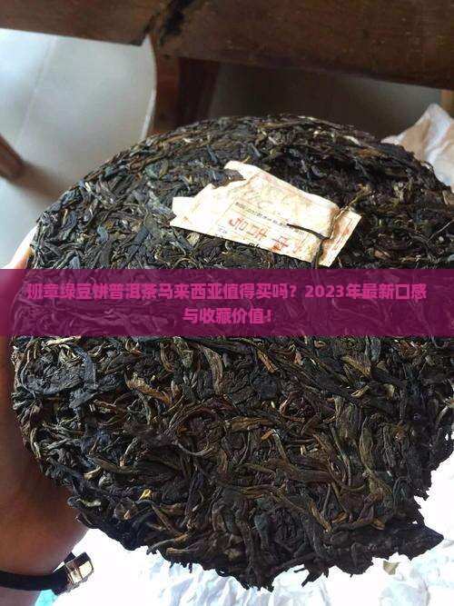 班章绿豆饼普洱茶马来西亚