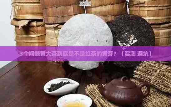 黄大茶是什么茶红茶的黄芽 黄大茶是什么茶红茶的黄芽