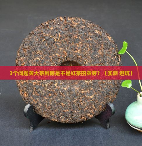 黄大茶是什么茶红茶的黄芽 黄大茶是什么茶红茶的黄芽