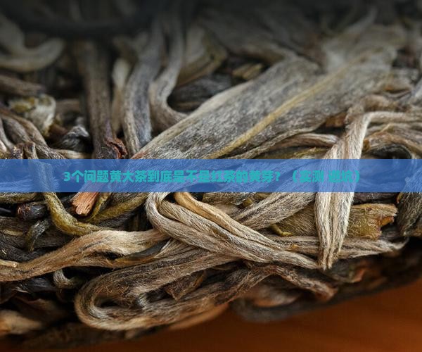 黄大茶是什么茶红茶的黄芽 黄大茶是什么茶红茶的黄芽