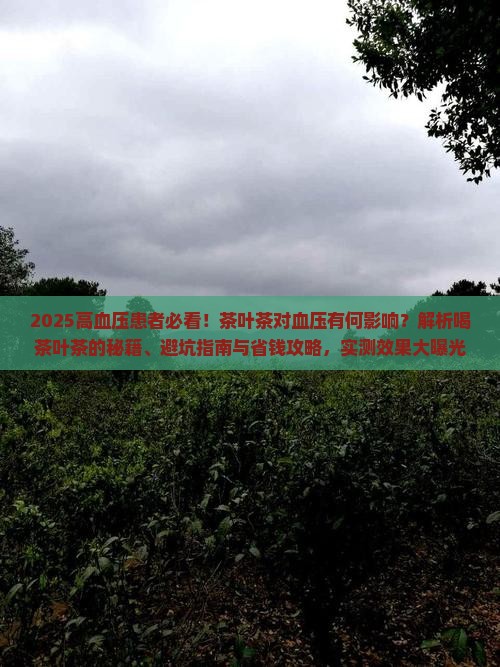 高血压病人可以喝茶叶茶吗 高血压病人可以喝茶叶茶吗