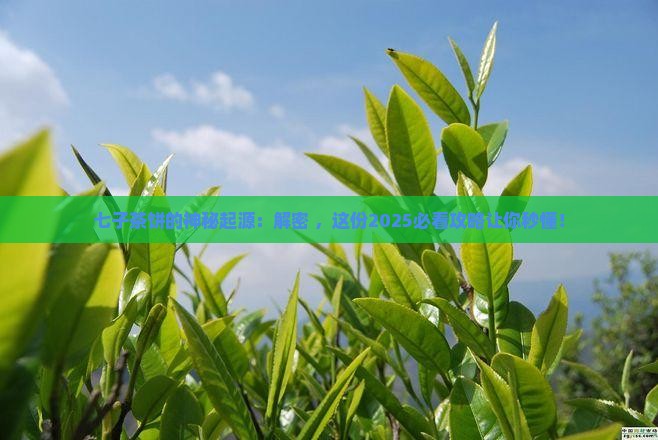 七子茶饼的来源