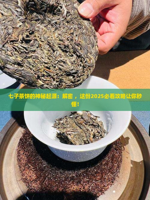 七子茶饼的来源