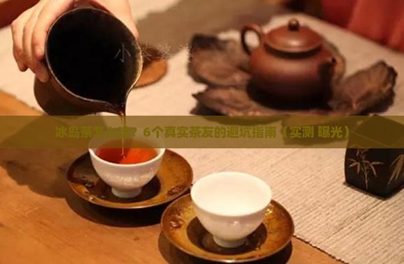 中茶六山冰岛怎么样