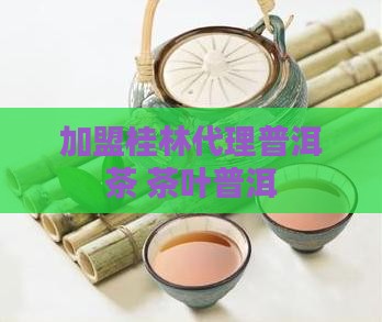 桂林普洱茶加盟代理