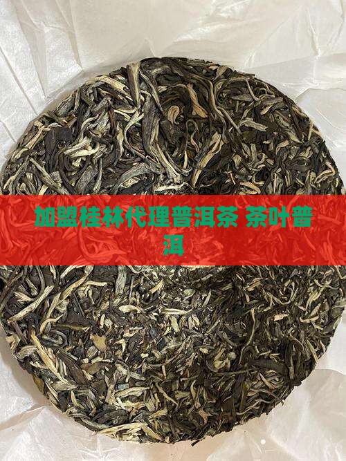 桂林普洱茶加盟代理