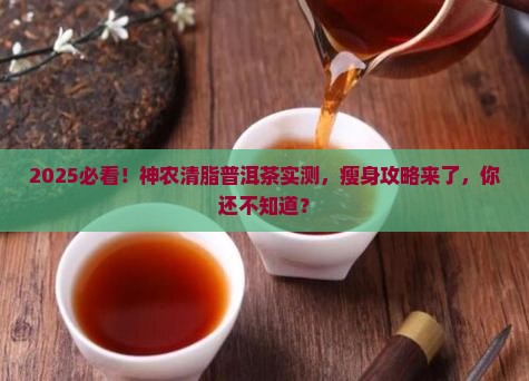 神农清脂普洱茶