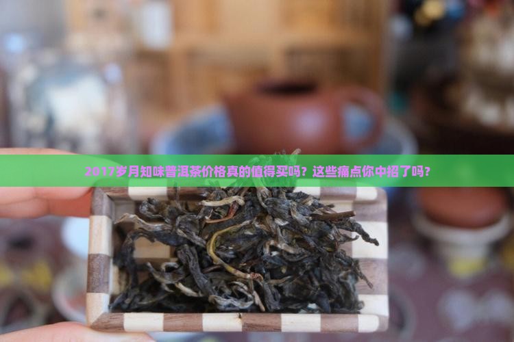 2017岁月知味普洱茶价格