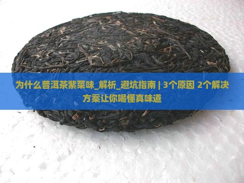 为什么普洱茶紫菜味