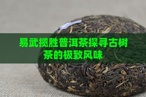 易武揽胜普洱茶
