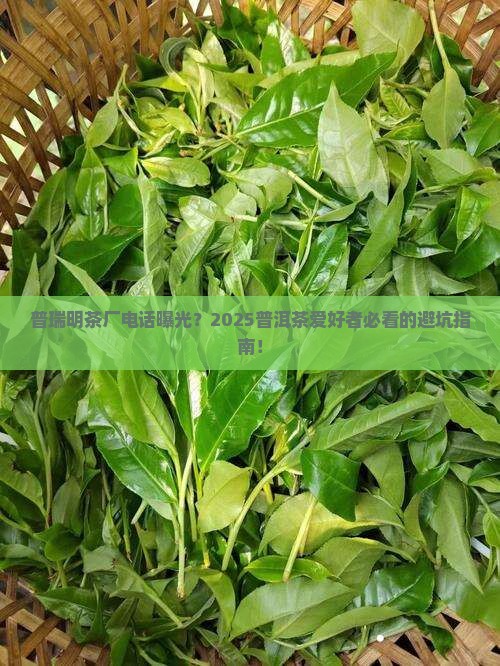 普洱茶普瑞明茶厂电话