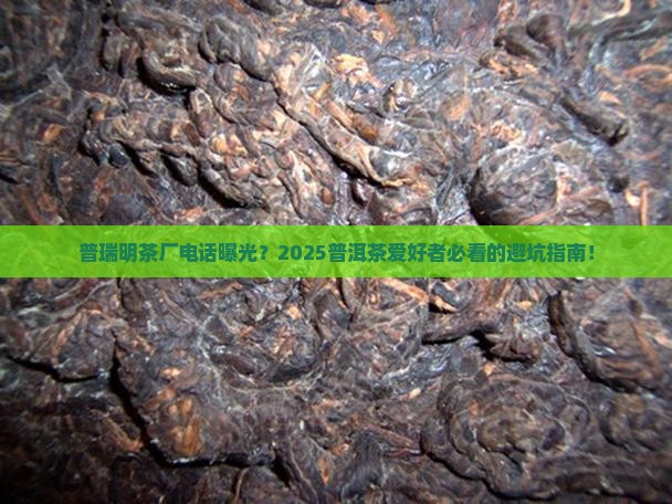 普洱茶普瑞明茶厂电话