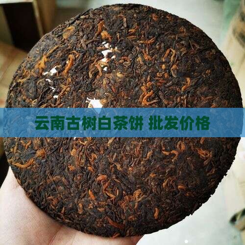 云南古树白茶饼