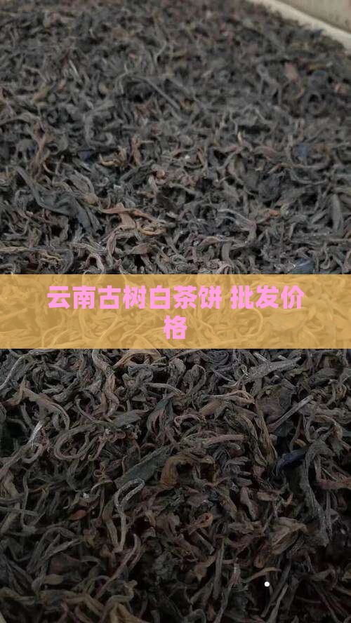 云南古树白茶饼