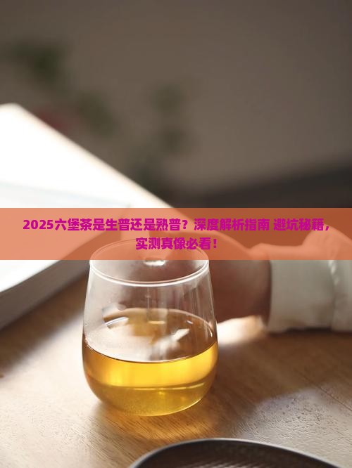 六堡茶是生普还是熟普