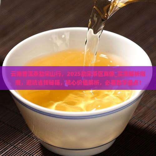 云南普洱茶勐宋山行