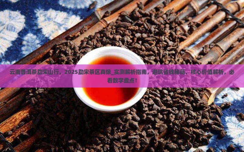 云南普洱茶勐宋山行