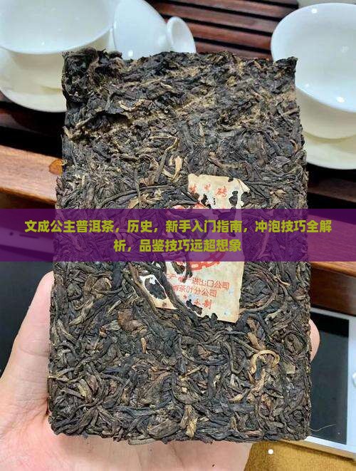 文成公主普洱茶