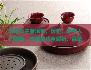 文成公主普洱茶