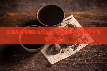 普洱茶茶多酚转化