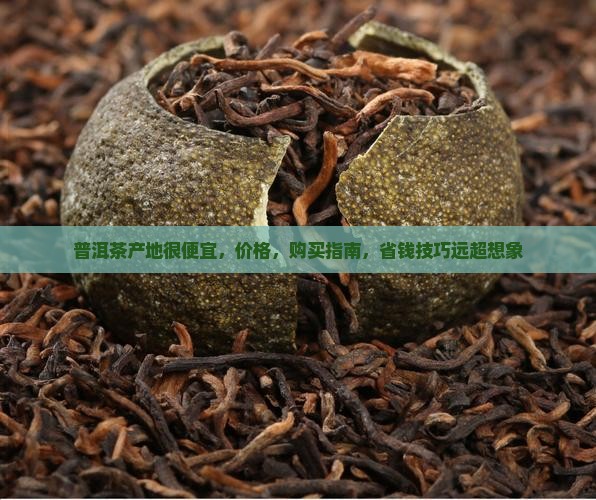 普洱茶产地很便宜