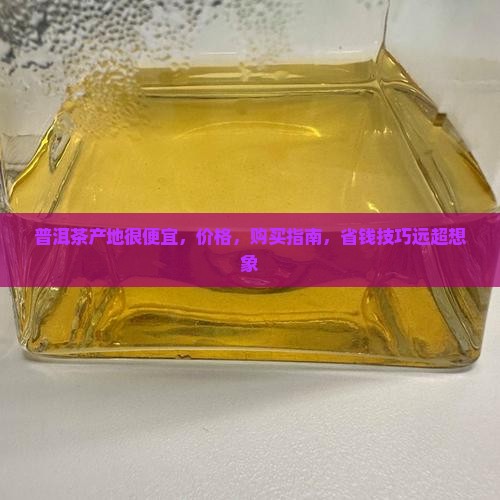 普洱茶产地很便宜