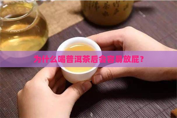 为什么喝普洱茶后会容易放屁？