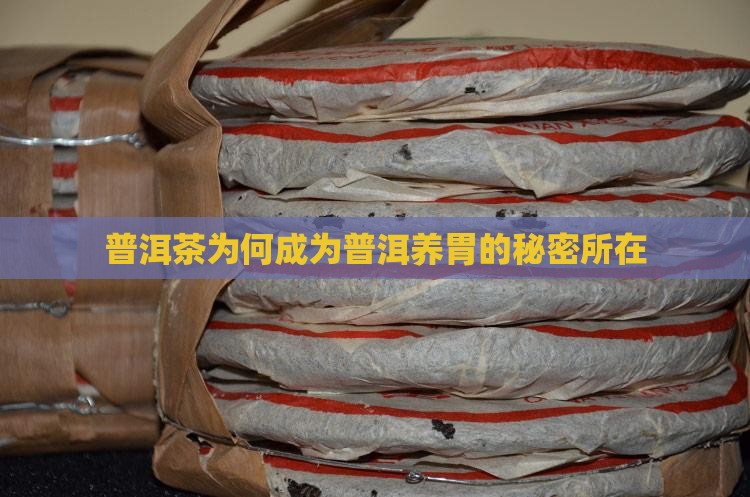 普洱茶为何成为普洱养胃的秘密所在
