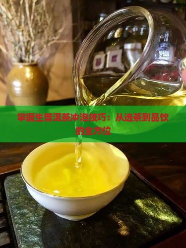 掌握生普洱茶冲泡技巧：从选茶到品饮的全方位
