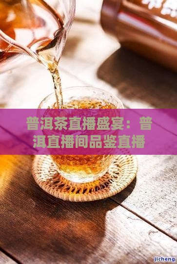 普洱茶直播盛宴：普洱直播间品鉴直播